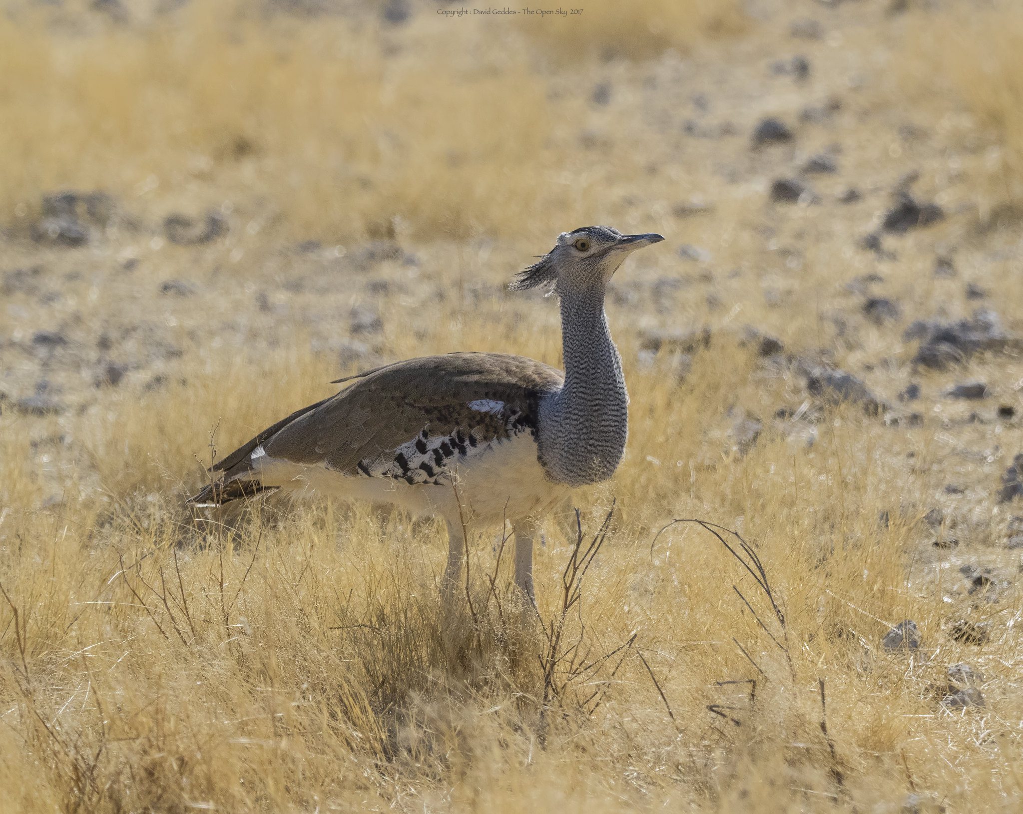 Kitulo National Park