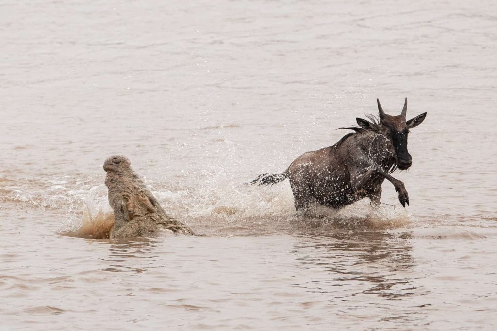 Best Time to Visit Tanzania