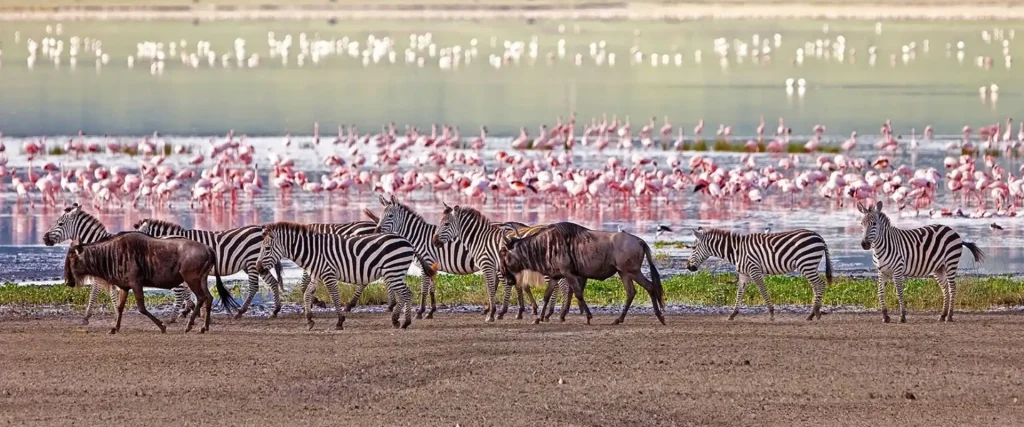 Tanzania safari destinations