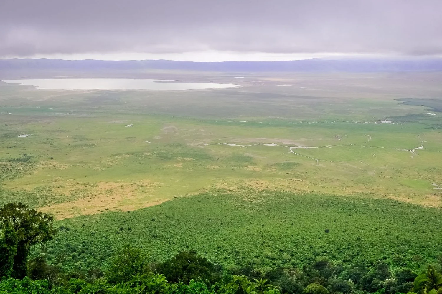 Safari Planning