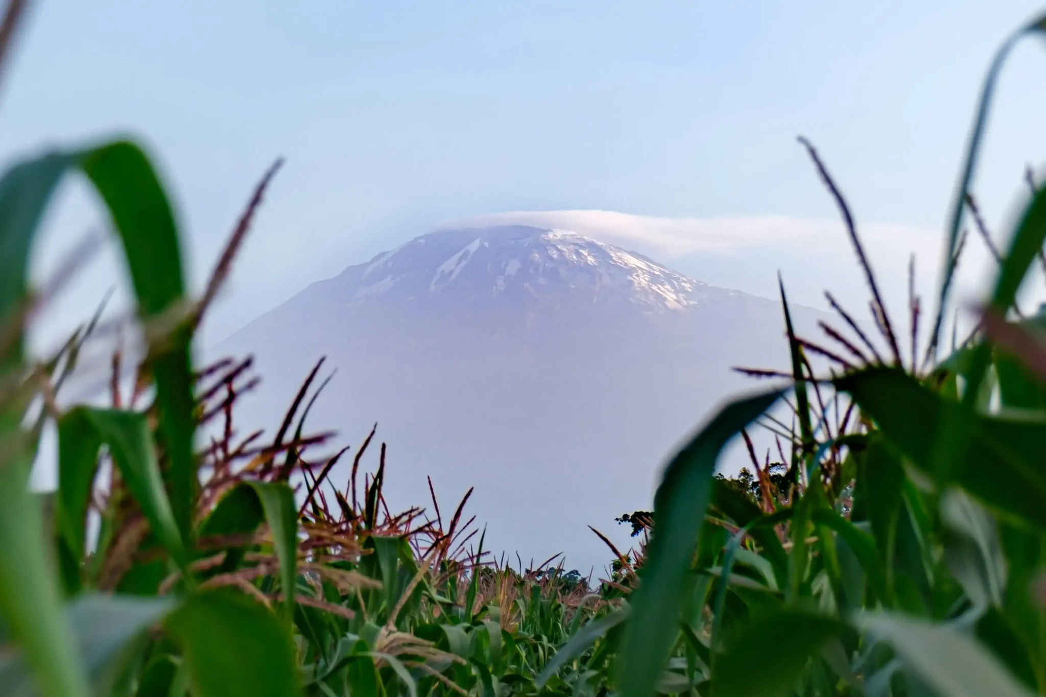 Mountain Base Camping in Tanzania