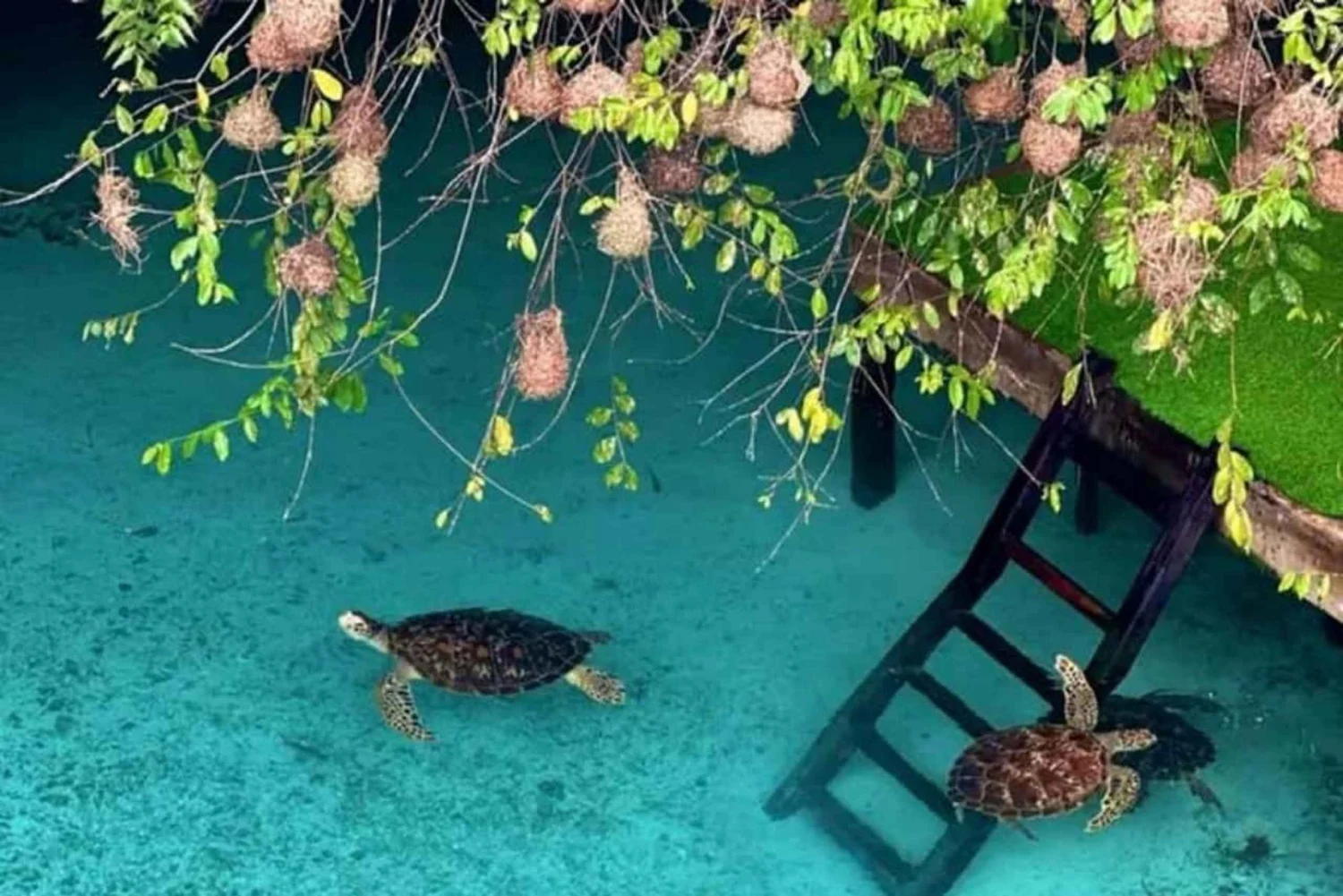 top zanzibar beaches