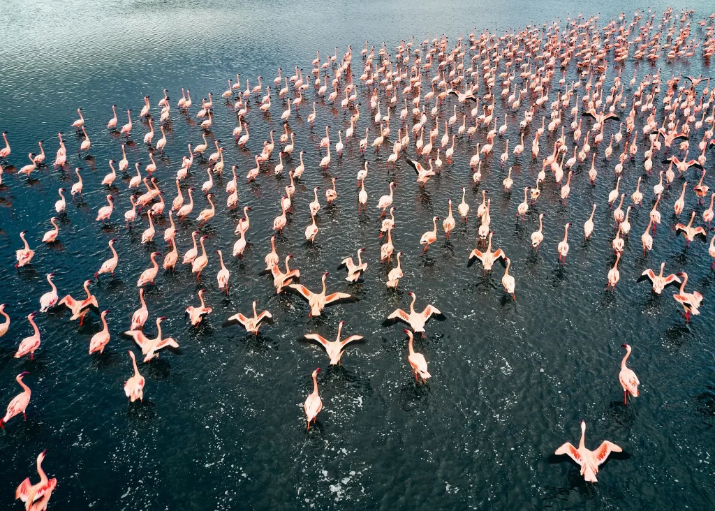 family camp Tanzania hot springs