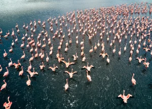 family camp Tanzania hot springs